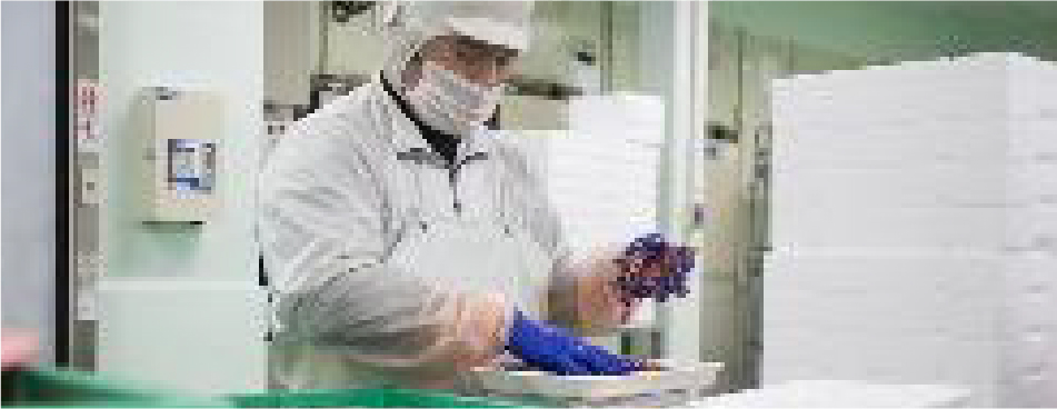 工場長候補・直売店管理者候補