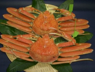 松葉がに(ずわいがに)