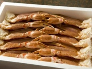 生切ずわいがに