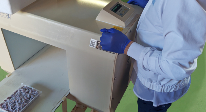 ハマダセイの鮮度保持