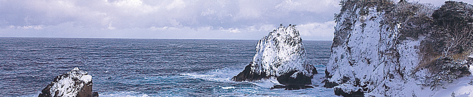 ハマダセイのSDGs